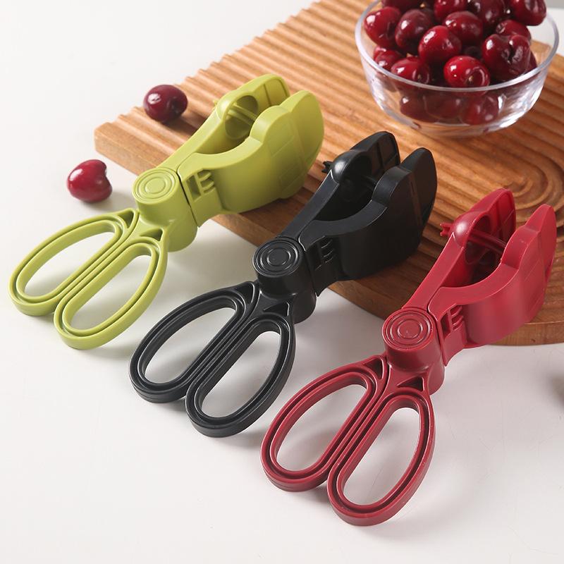 Ergonomiczny przyrząd do usuwa – Cherry Pitter Tool recenzja i cena